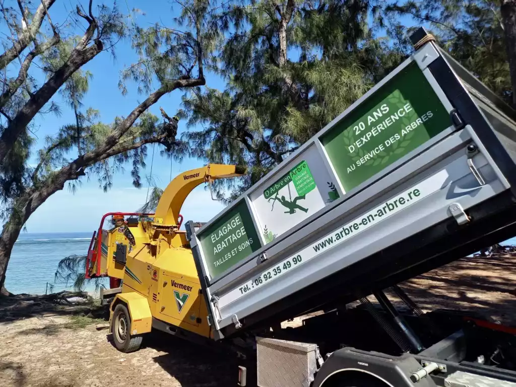 Camion et broyeur de branches D'Arbre en Arbre sur un chantier littoral