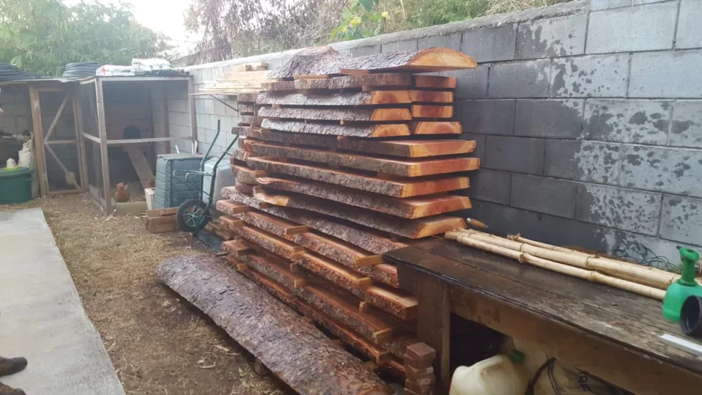 Planches de bois local empilées en séchage après sciage