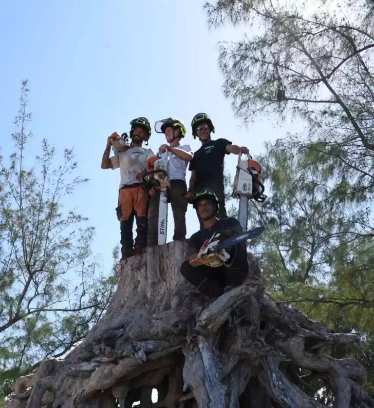 Équipe d'arboristes de D'Arbre en Arbre réunie après un abattage